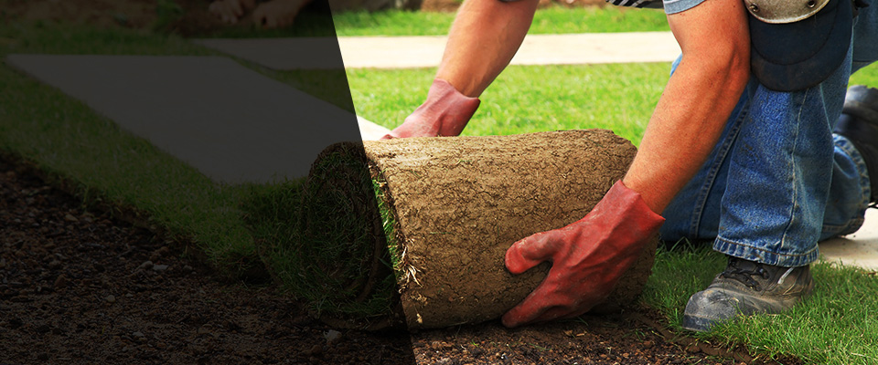 Lansdowne Landscapers